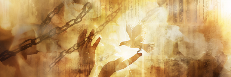 illustration of hands releasing a dove against a backdrop of abstract Bible pages