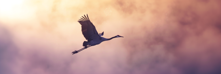 image of a majestic crane in flight, silhouetted against a misty, pastel sky at dawn